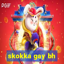 skokka gay bh